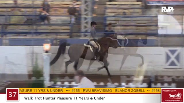 2020 JMHS - Class 37 Walk:Trot Hunter...