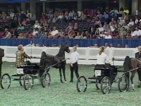 2008 WCHS Class 140 Amateur Ladies Ha...