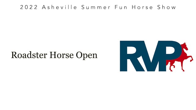 ASF22 - Class 11 - Roadster Horse Open