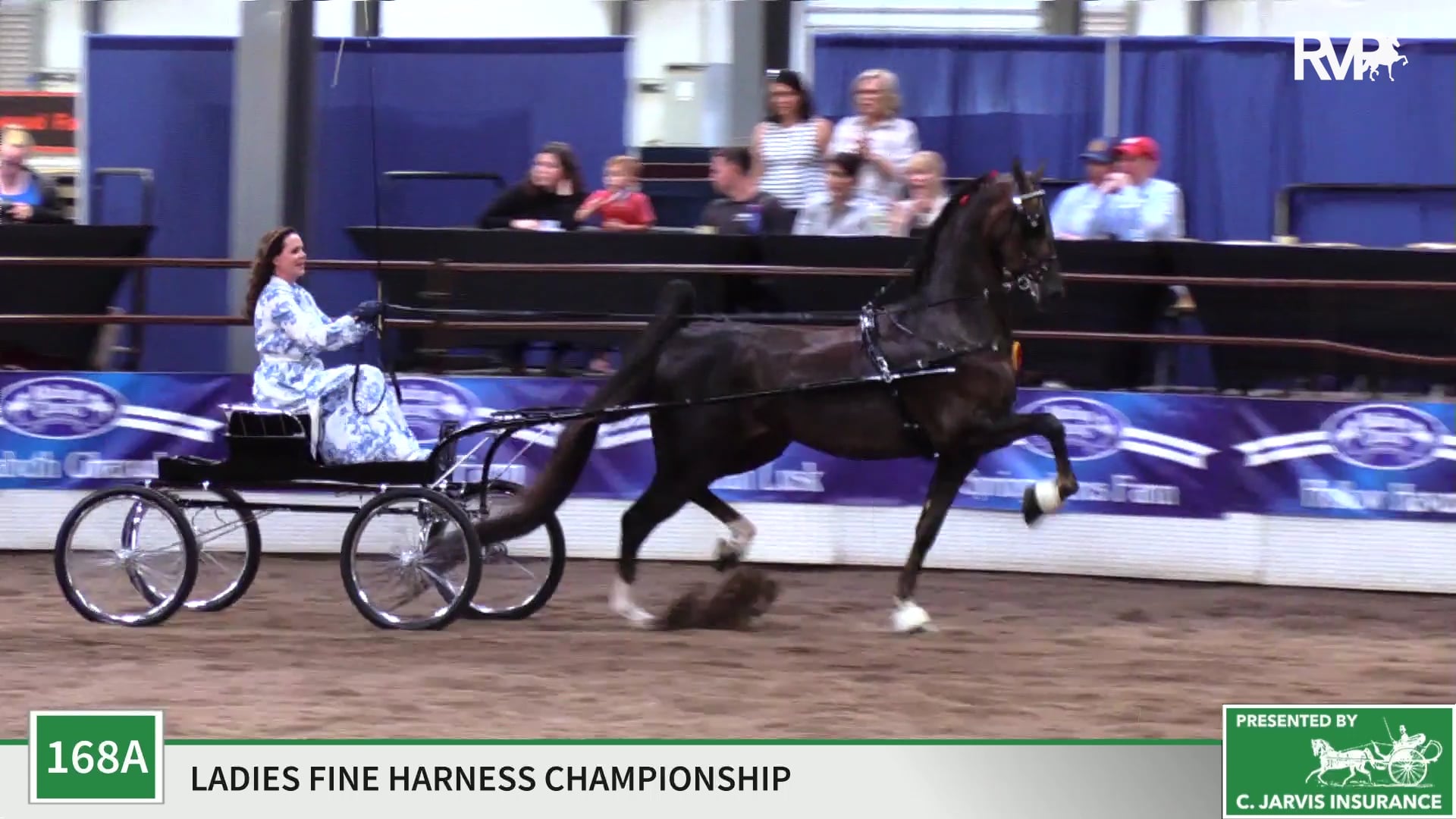 MC19 - Class 168A -Bluebonnet's Hip Hop