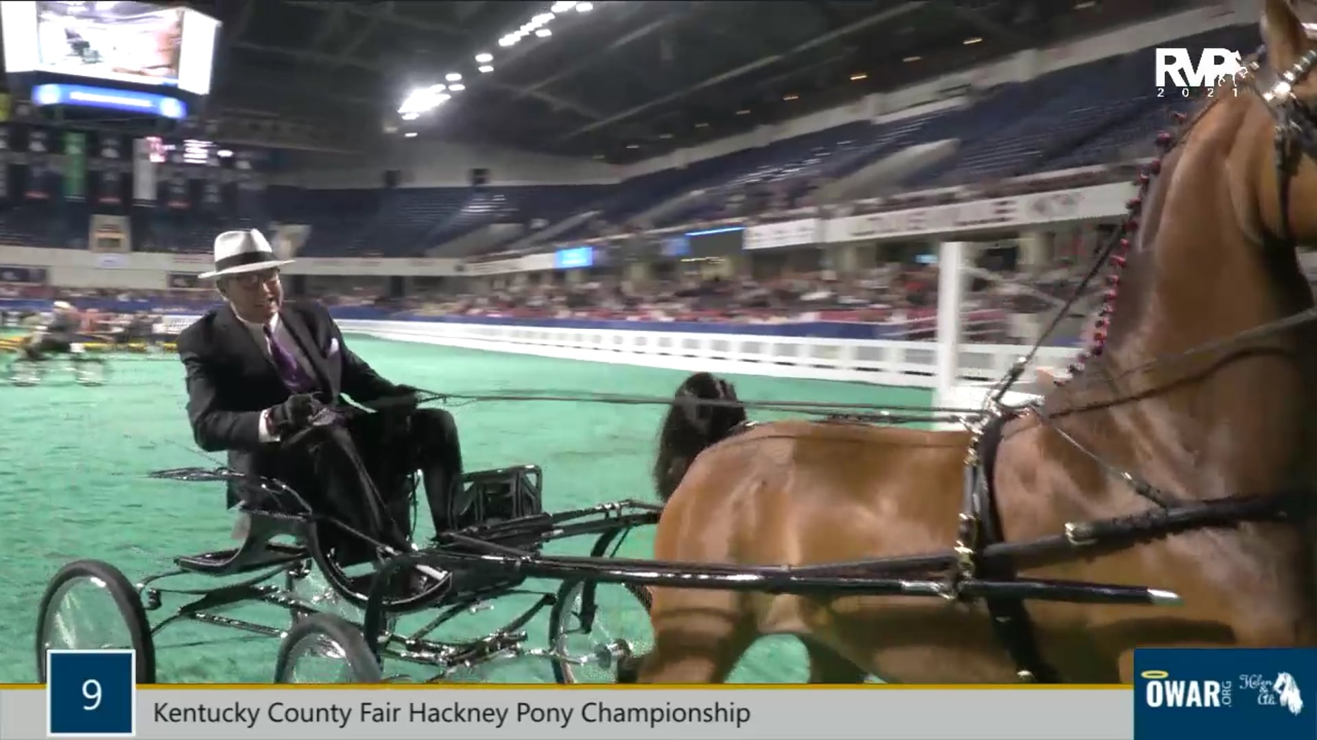 WCHS21 - Class 9 - Kentucky County Fair Hackney Pony Championship
