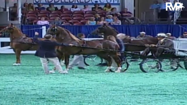 2009 World's Championship Horse Show ...