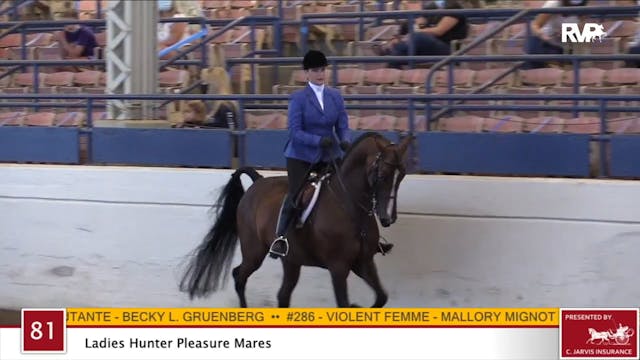 2020 JMHS - Class 81 Ladies Hunter Pl...