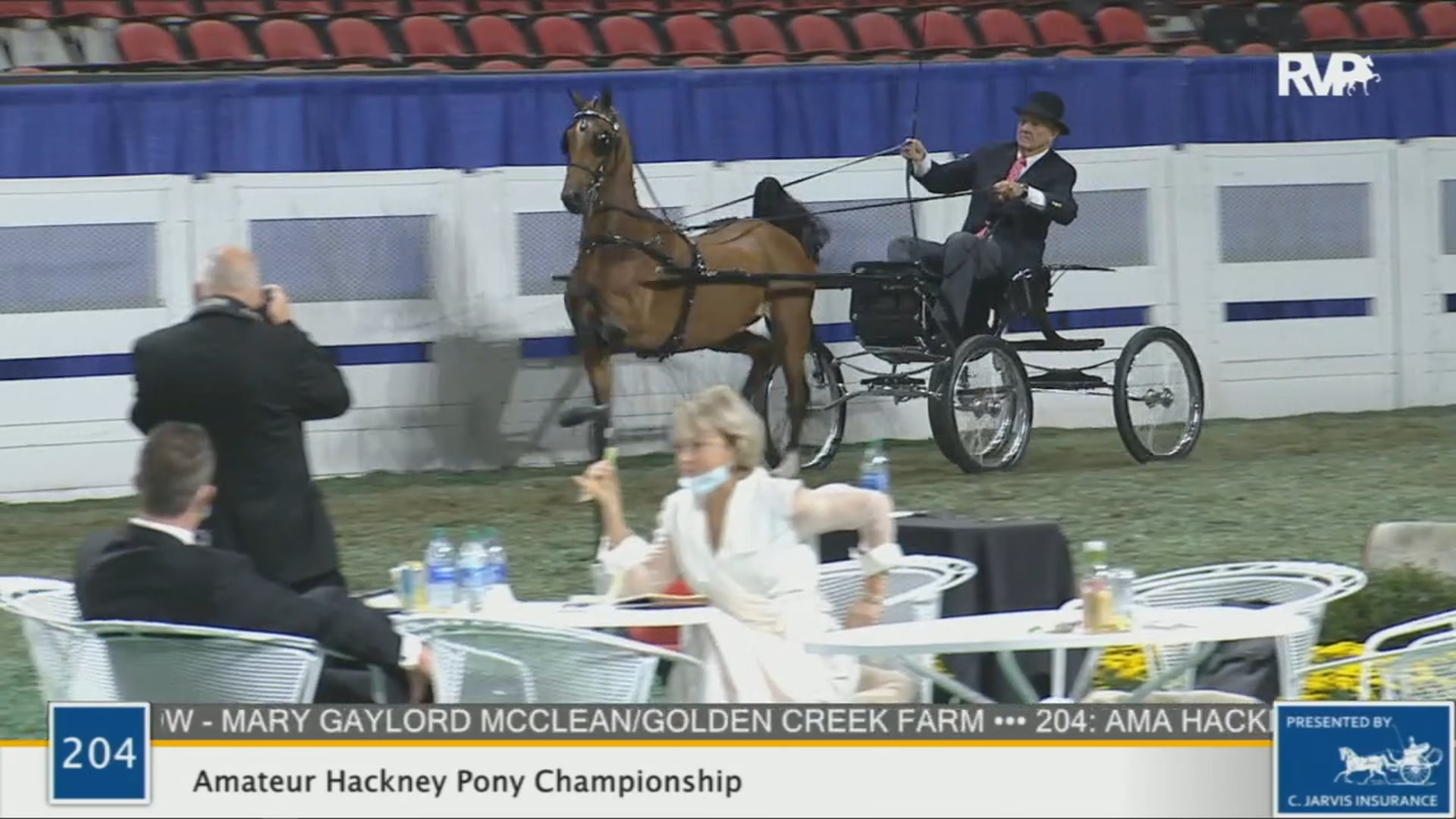 WCHS 2020 Class 204 - Amateur Hackney Pony Championship