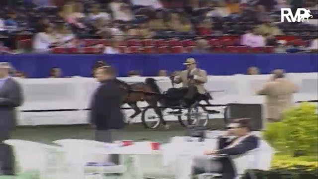 2007 WCHS Class 76 Amateur Gentleman'...