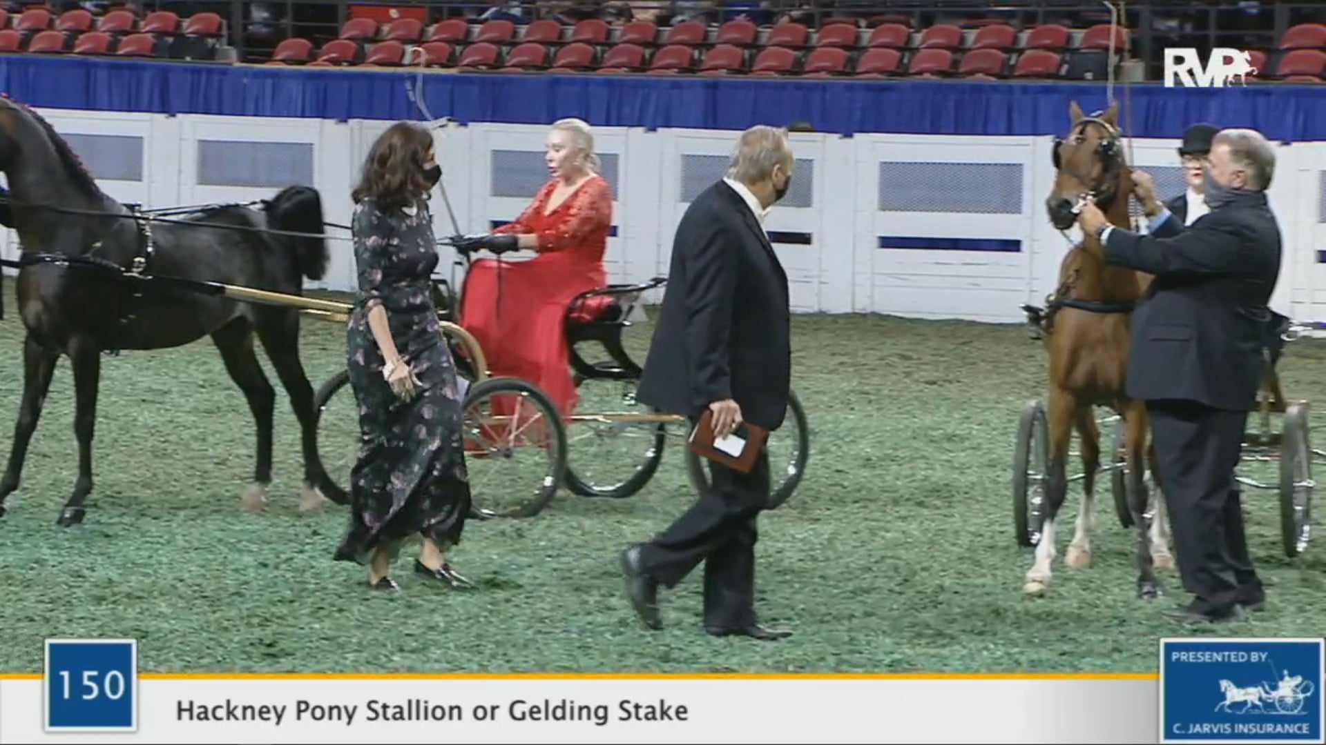WCHS 2020 Class 150 - Hackney Pony Stallion or Gelding Stake