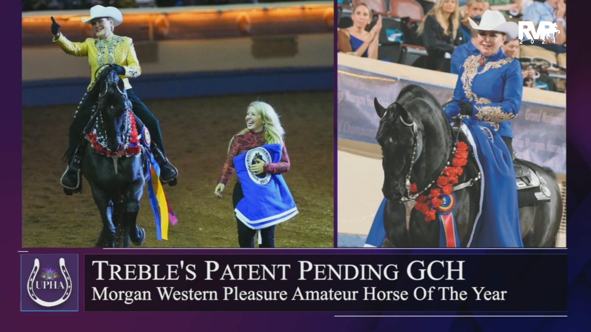 2024 UPHA Overall Morgan Western Pleasure Horse of the Year - Treble’s Patent Pending GCH
