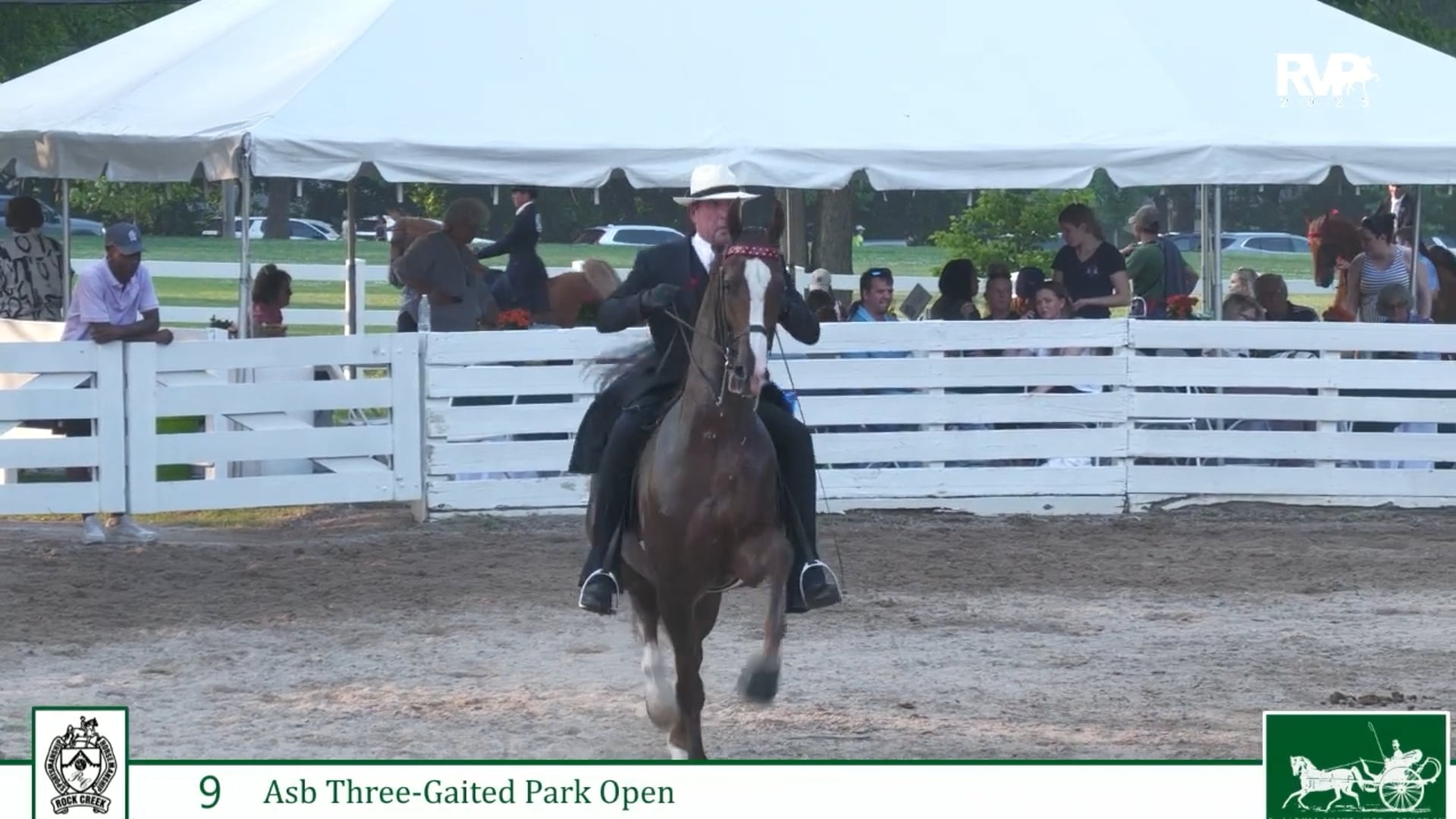 RC25 - Class 9 - CH Undulata's Johnny Rebel and Neil Visser, Up