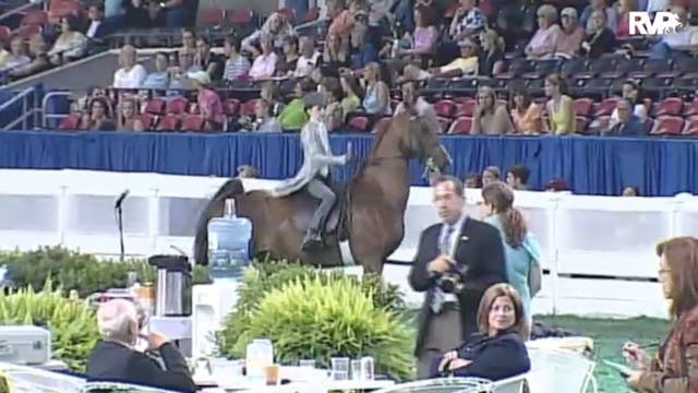 2010 World's Championship Horse Show ...