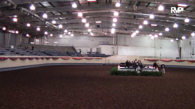 MGN15 - Performance Arena - 10-11-15 ...