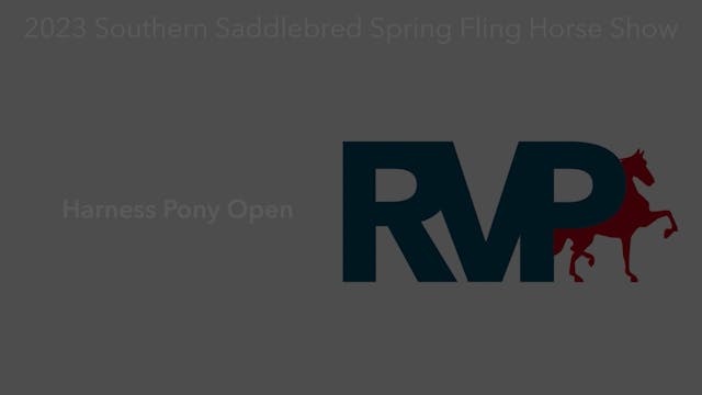 SSSF23 - Class 7 - Harness Pony Open