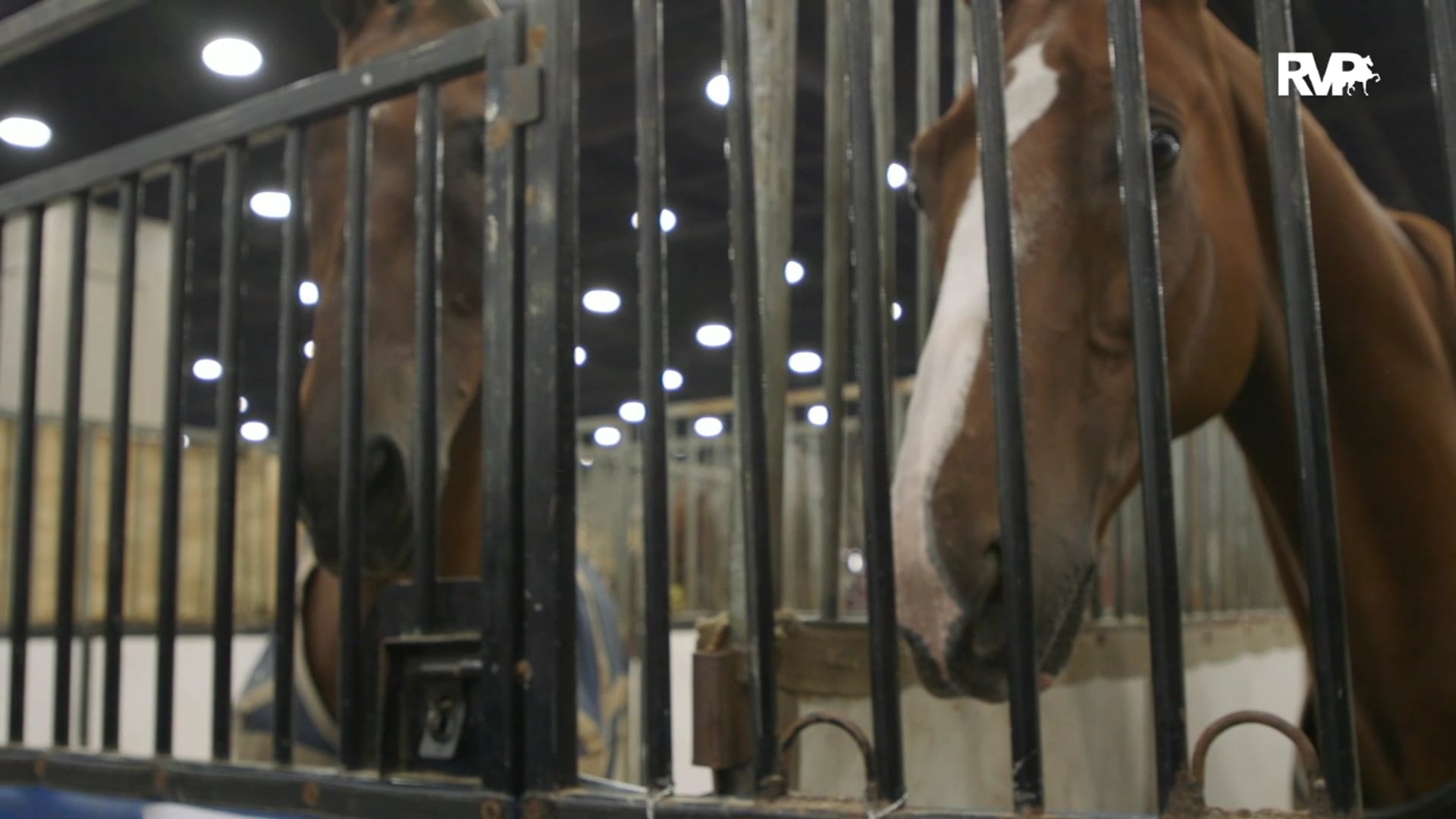 2019 World's Championship Horse Show - Monday Evening