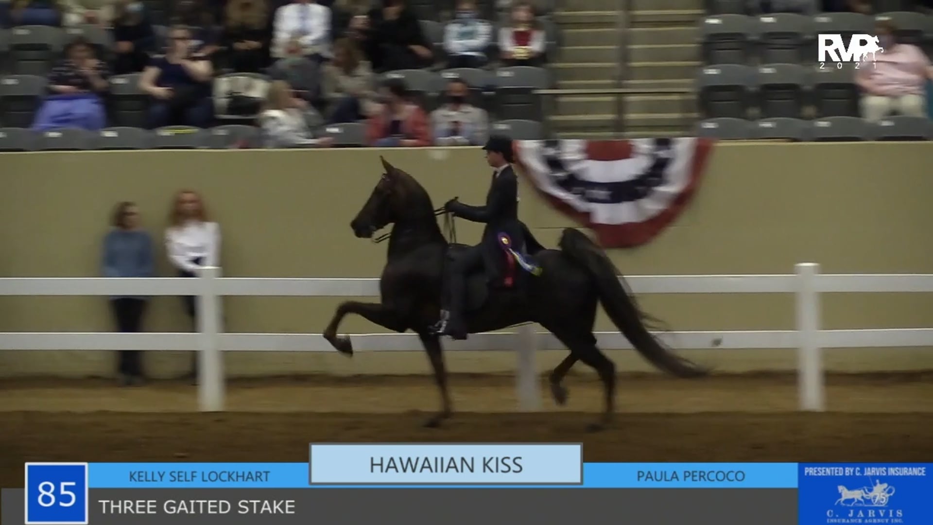 KYSP21 - Class 85 - Three Gaited Stake 