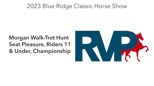 BR23 - Class 200 - Morgan Walk-Trot H...