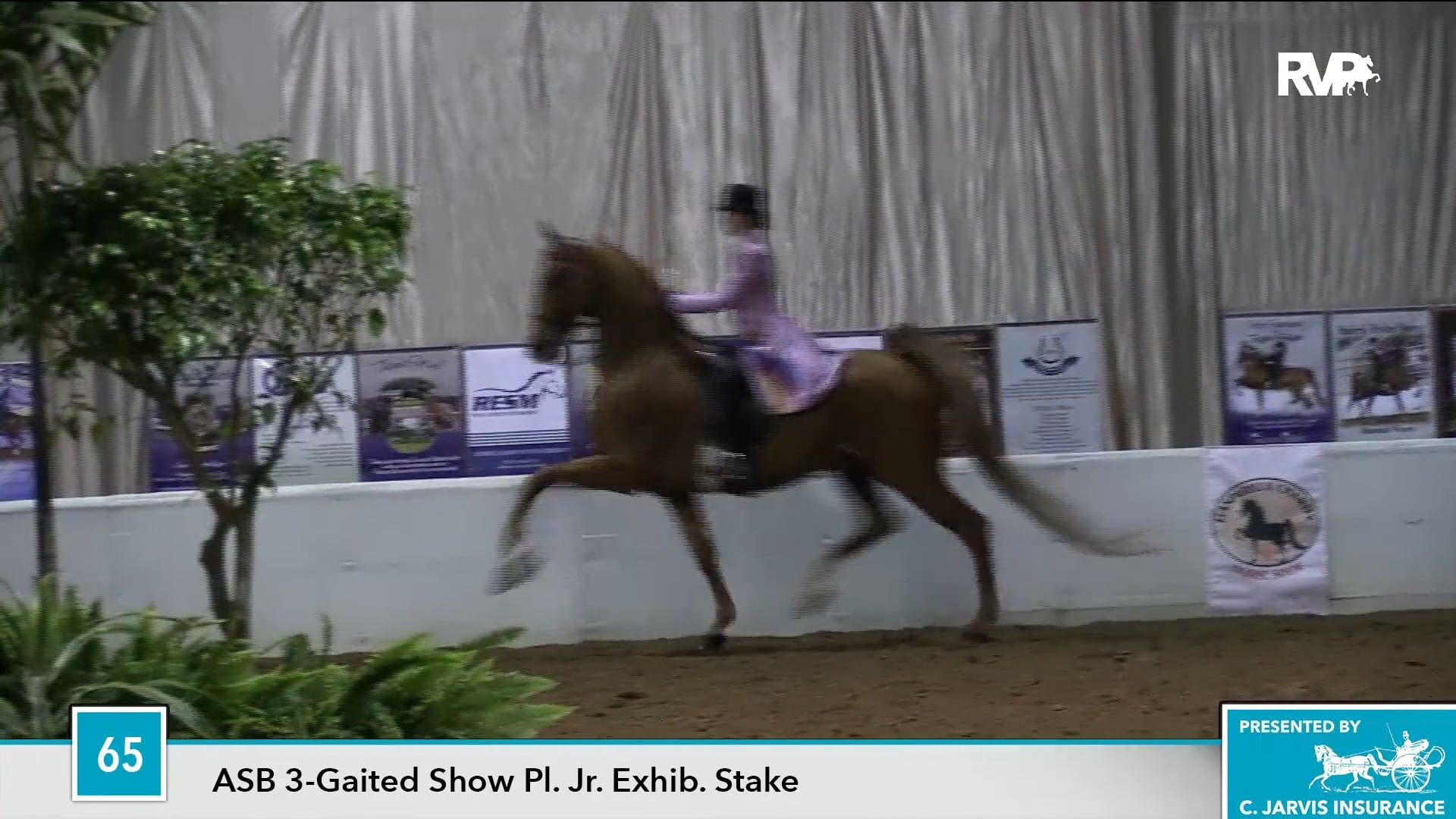 UPHA16 - Class 65 - Forever Heaven