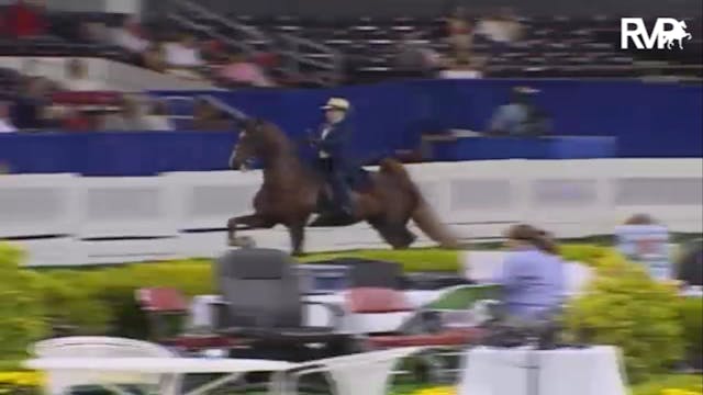 2007 WCHS Class 65 Equitation Open Ri...