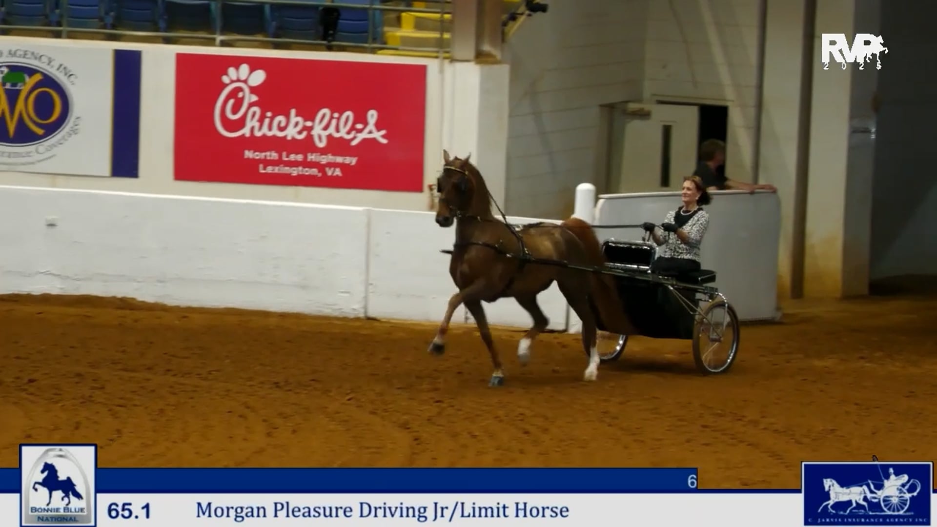BB25 - Class 65.1 - Morgan Pleasure Driving Jr & Limit Horse
