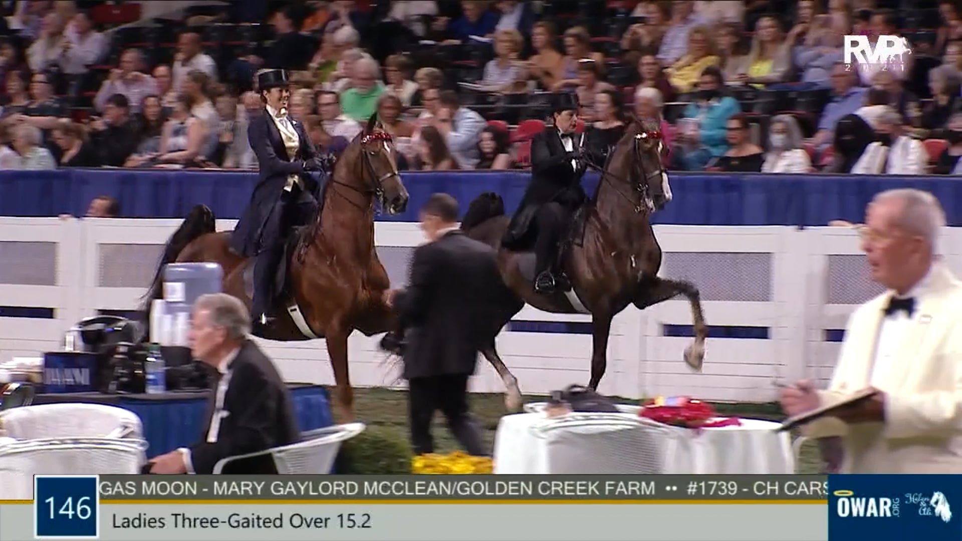 WCHS21 - Class 146 - Ladies Three-Gaited Over 15.2