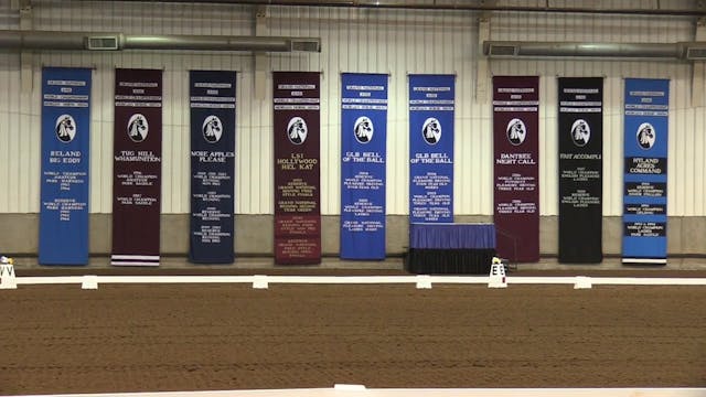 MGN16 - Sport Horse 1 - Saturday Morn...