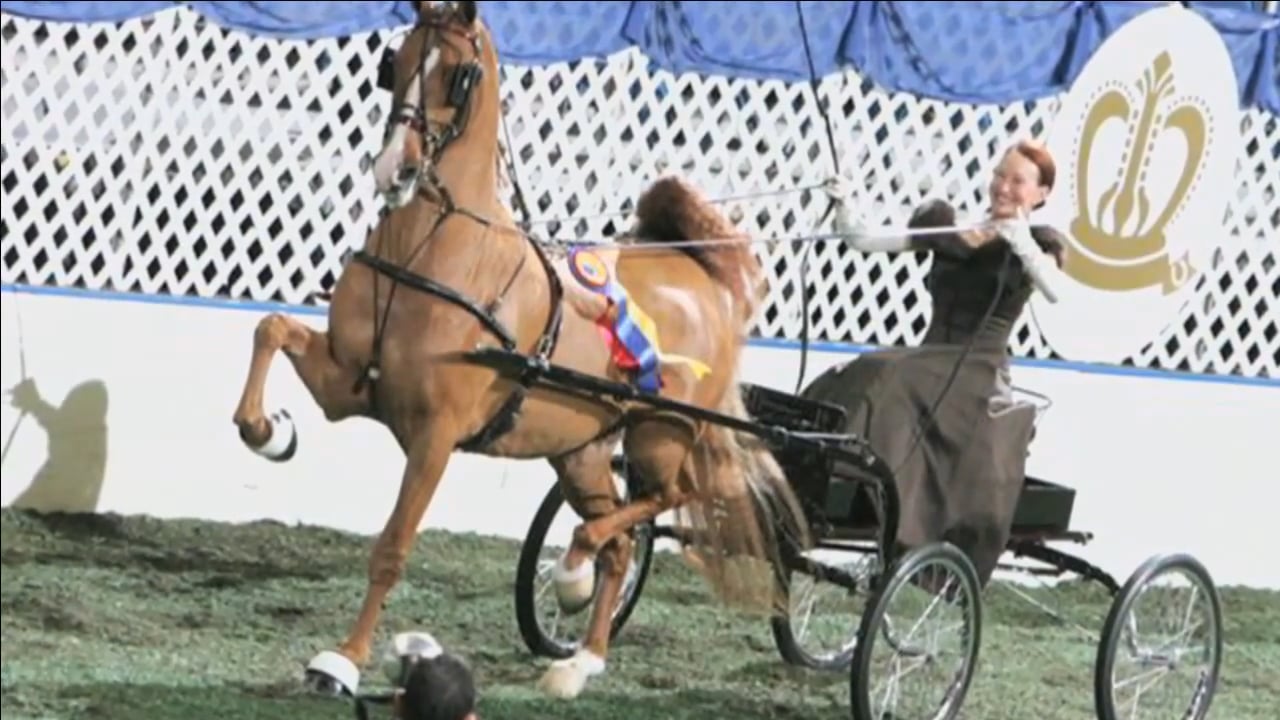 ALCB16 - Saturday Morning