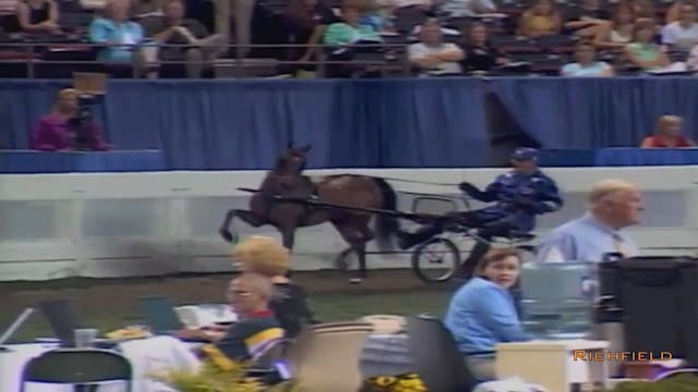 2002 WCHS Class 33 Roadster Pony Mare...