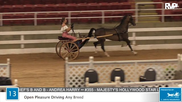 2020 ASF - Class 13 Open Pleasure Dri...