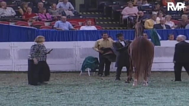 2009 World's Championship Horse Show ...