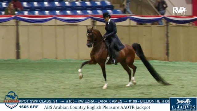 AN25 - Class 1665 - ABS Arabian Count...