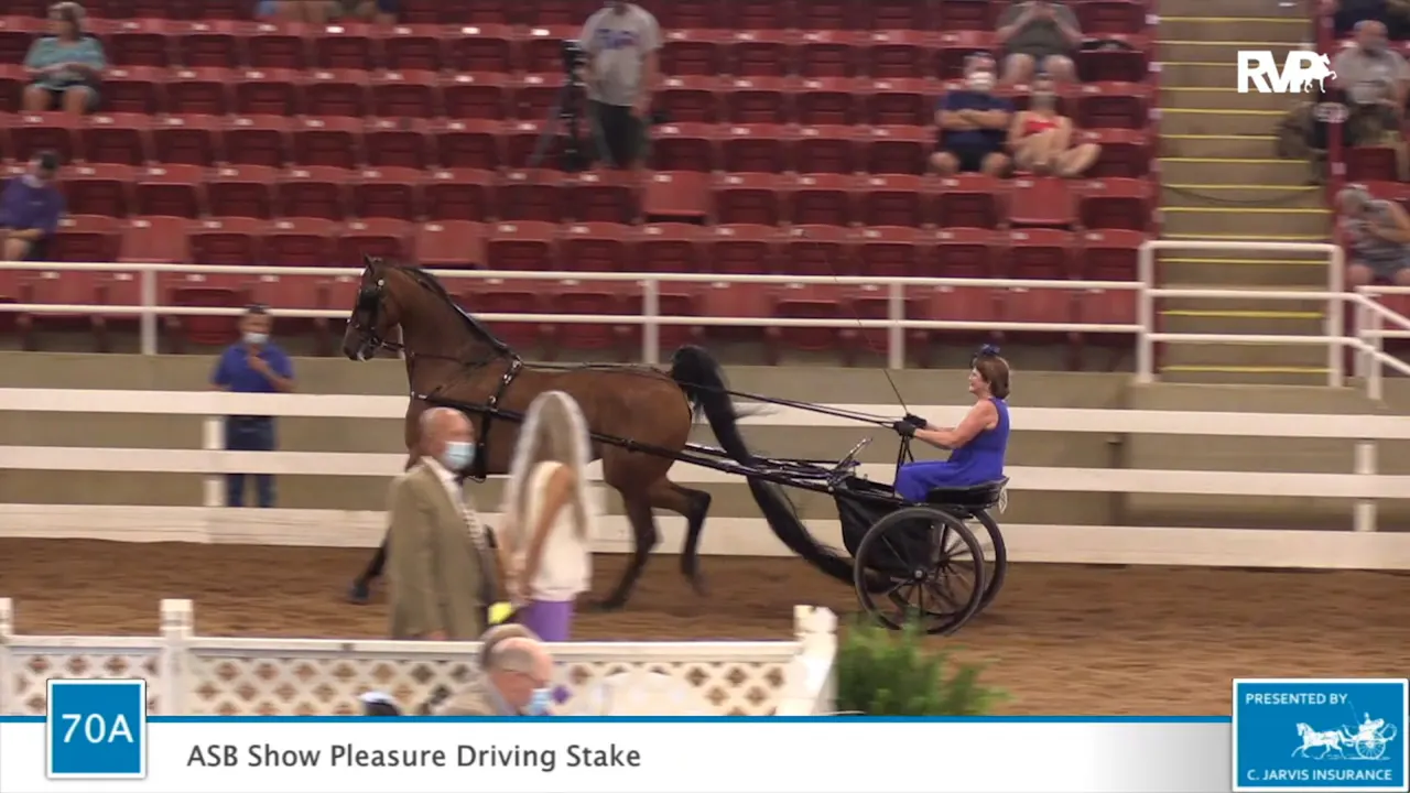 2020 ASF - Class 70A ASB Show Pleasure Driving Stake - Richfield Video ...