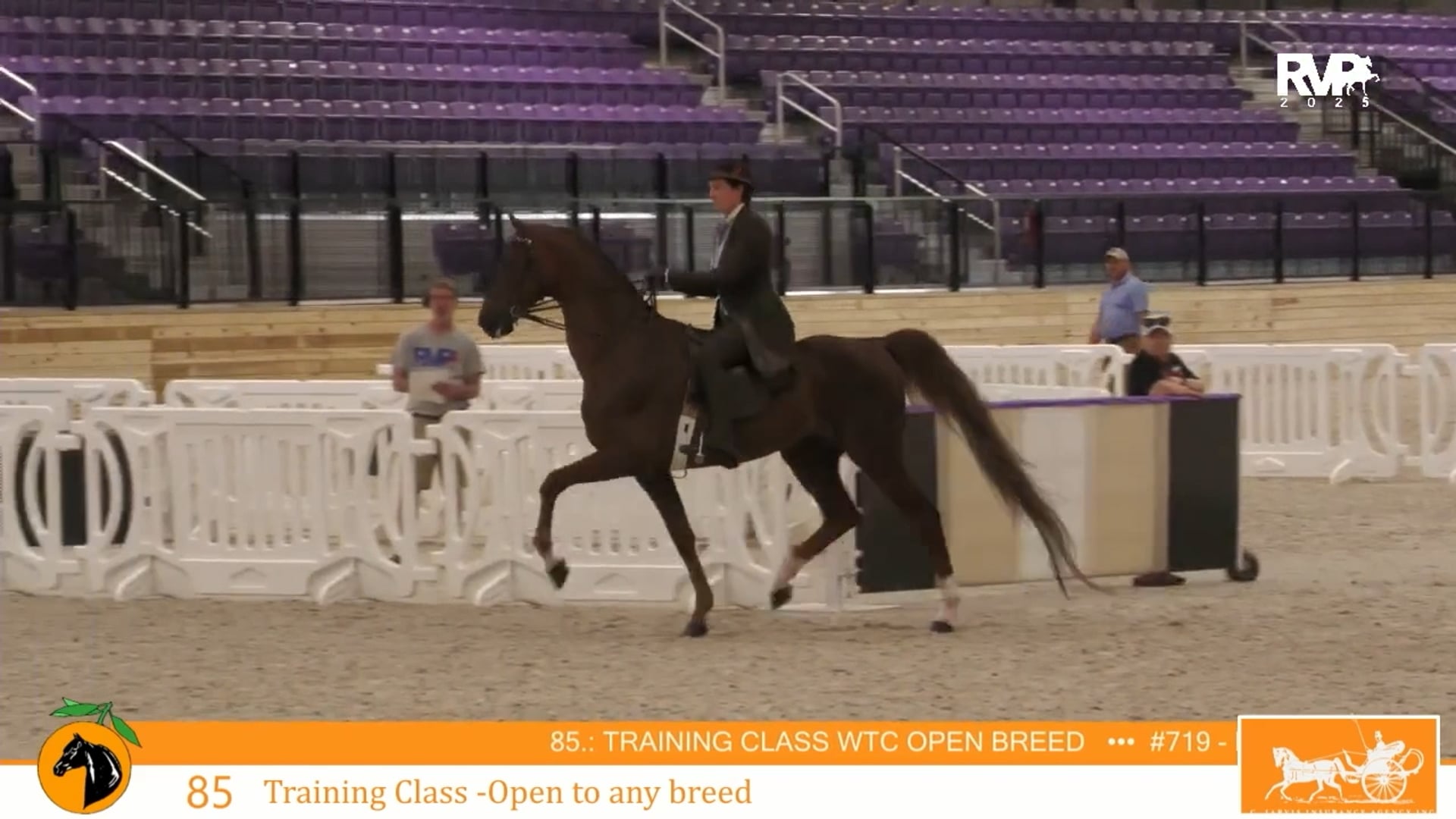 CC25 - Class 85 - Training Class Open to Any Breed