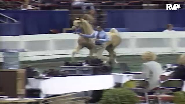 2000 WCHS Class 23 ASHA Futurity Of K...