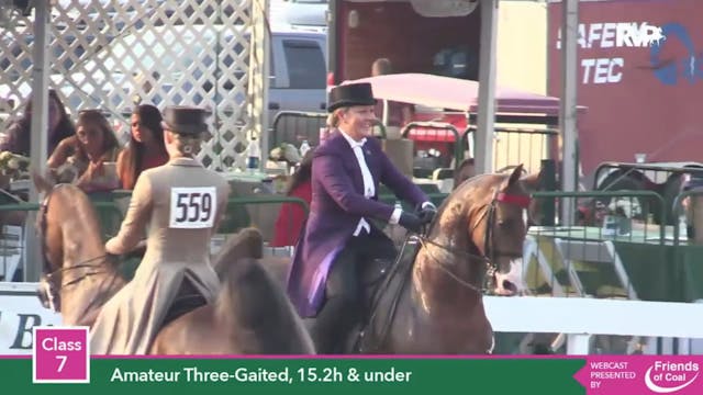 2015 LJL - Class 7 Amateur Three Gait...