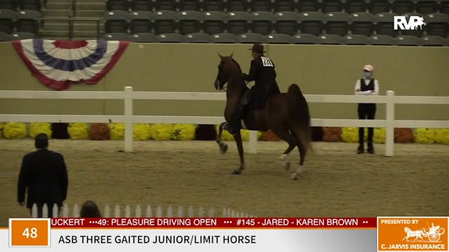 KFC 2020 - Class 48 ASB Three Gaited ...