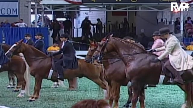 2009 World's Championship Horse Show ...