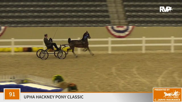 KFC 2020 - Class 91 UPHA Hackney Pony...