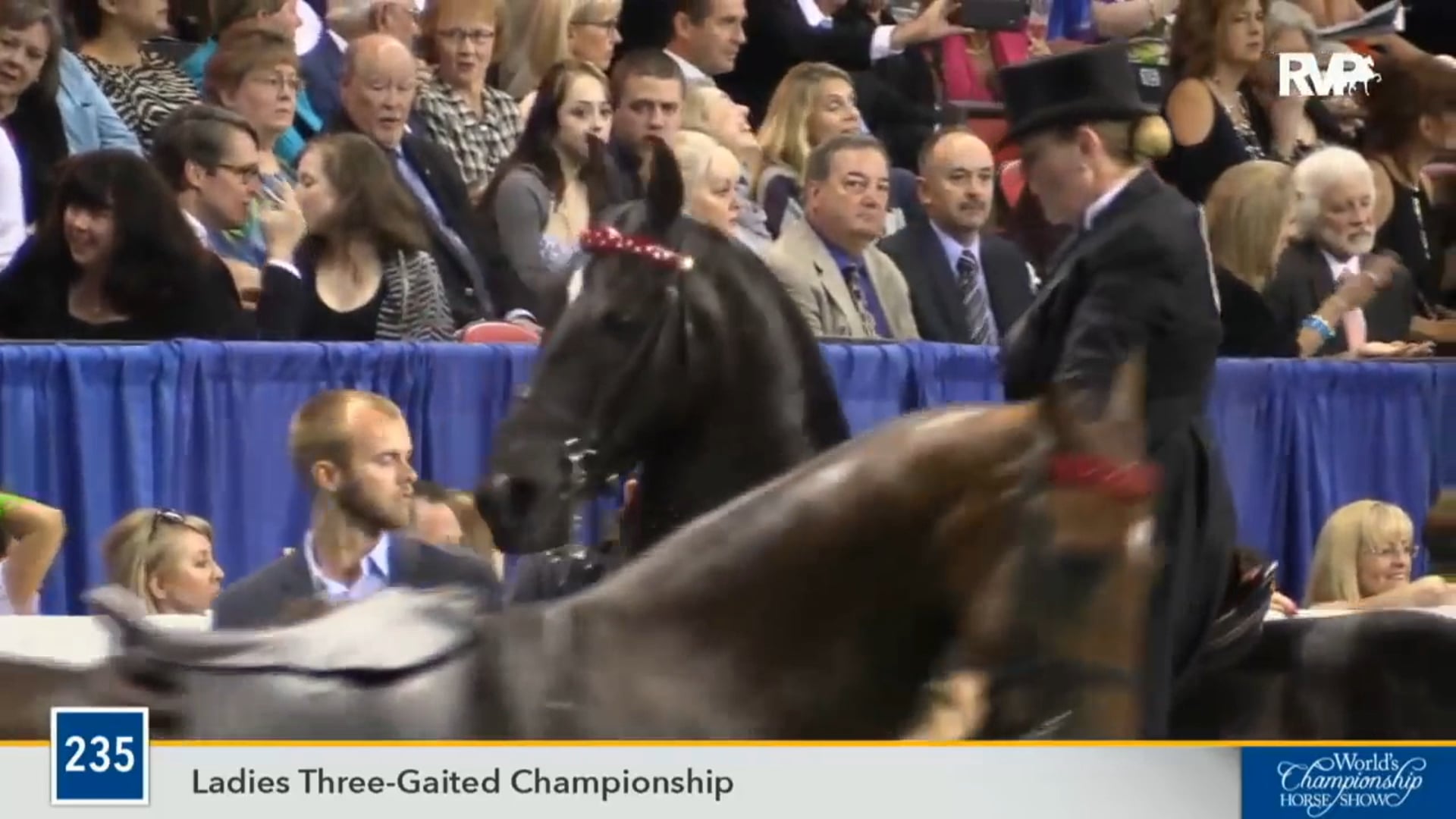 2016 WCHS - Class 235 Ladies Three Gaited Championship