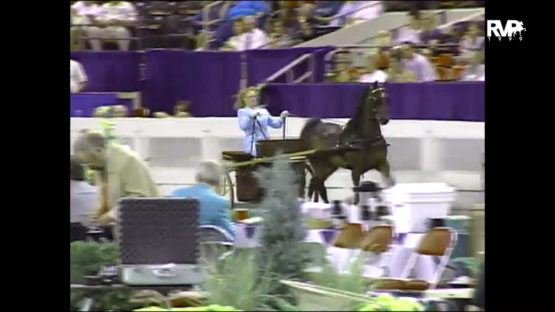 1999 WCHS - Class 130 Junior Exhibitor Hackney-Harness Pony Pleasure Driving-