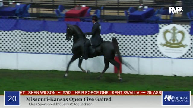 2020 AR - Class 20 MO:KS Five Gaited ...