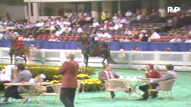 1992 WCHS Class 22 Junior Exhibitor T...