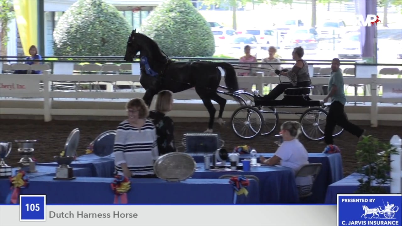 SEC18 - Class 105 - Star Song Jada Championship