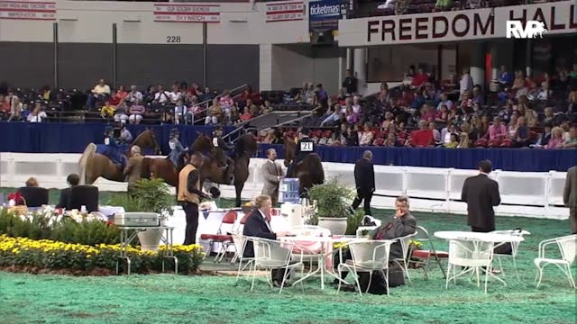 2012 WCHS - Class 119.1 Equitation Op...