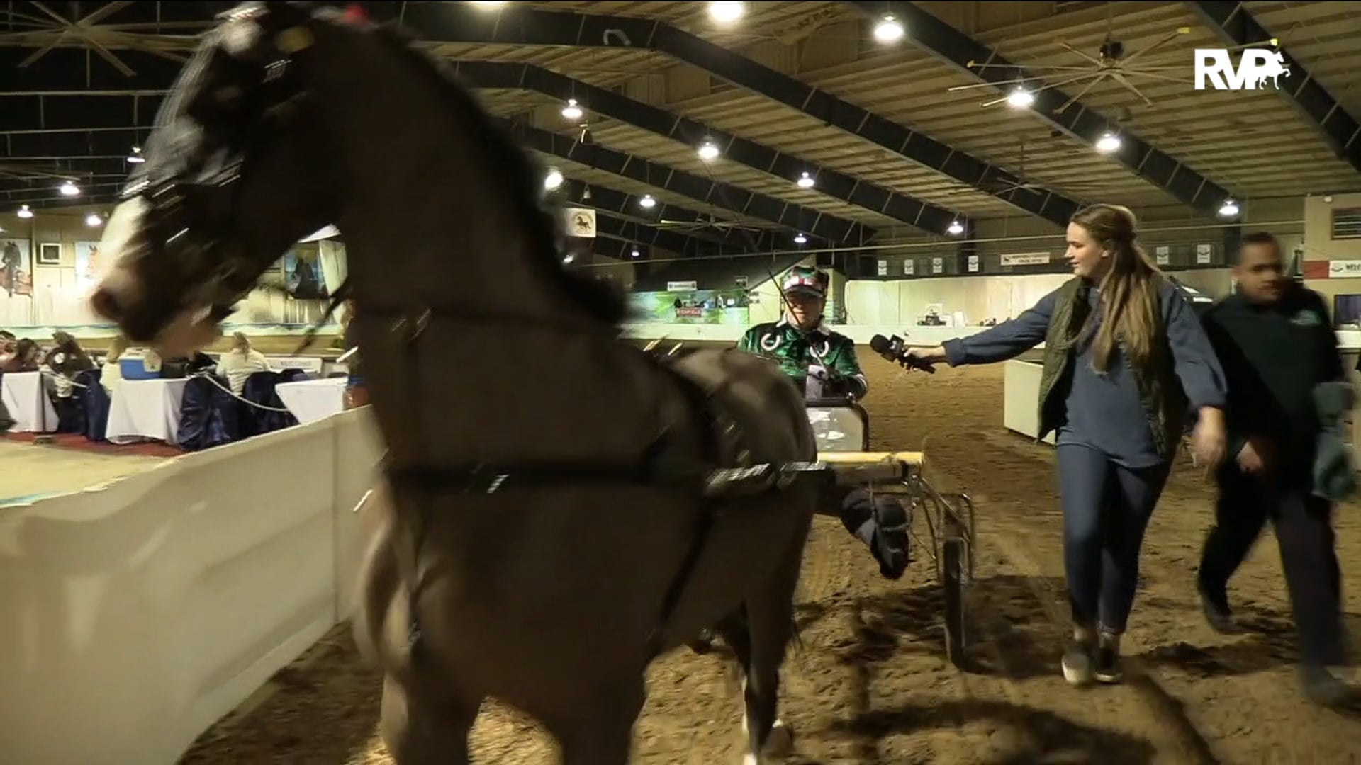 2020UPHA16 - Class 98 - Gilcrest's Blue Chip