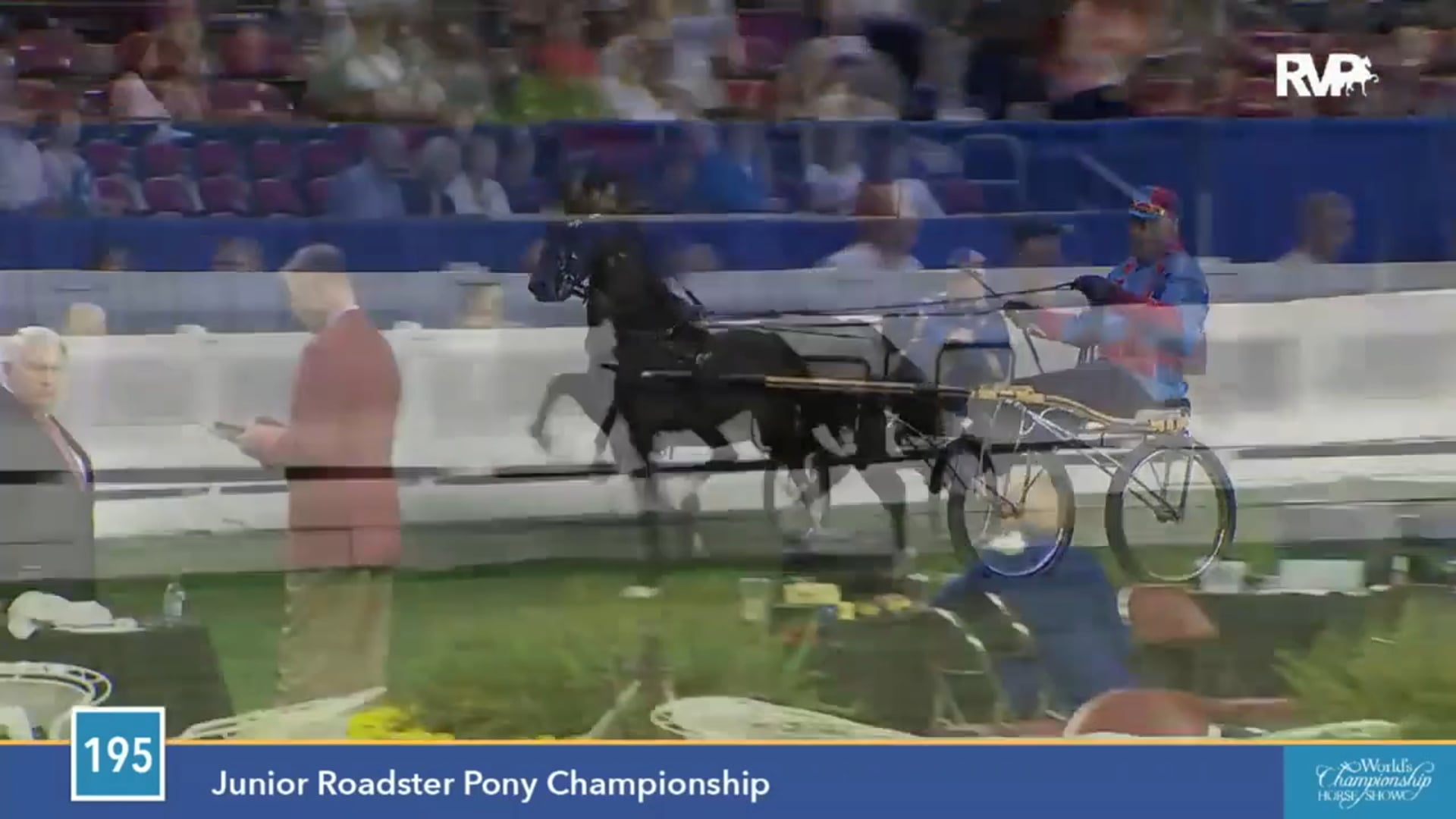 2015 WCHS - Class 195 Junior Roadster Pony Championship