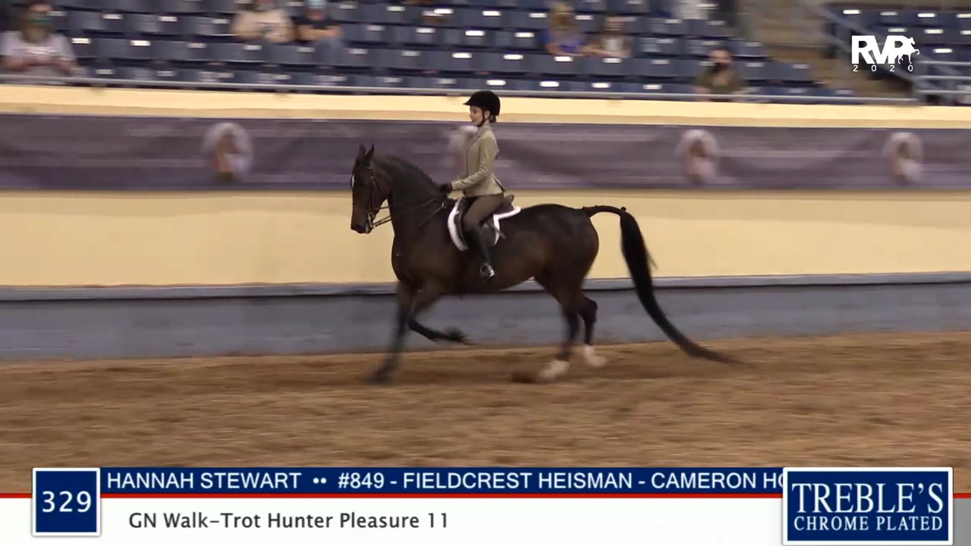 2020 MGN - 329 GN Walk-Trot Hunter Pleasure 11