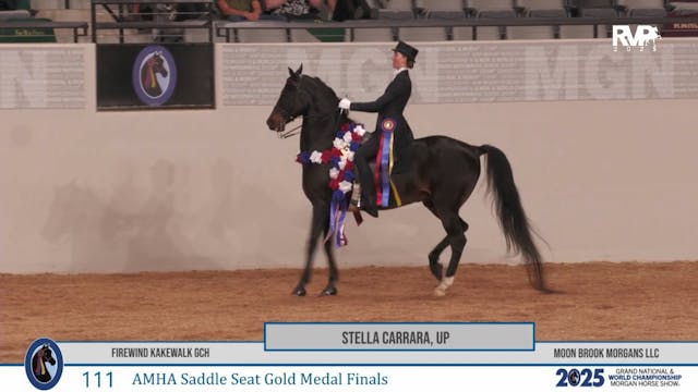 MGN25 - Class 111 - Stella Carrara, U...