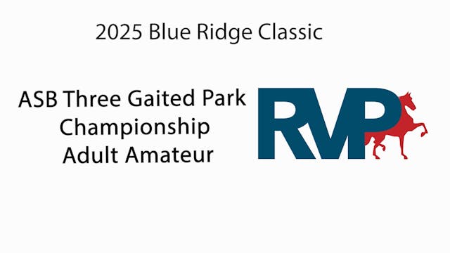 BRC25 - Class 218 - ASB Three Gaited ...