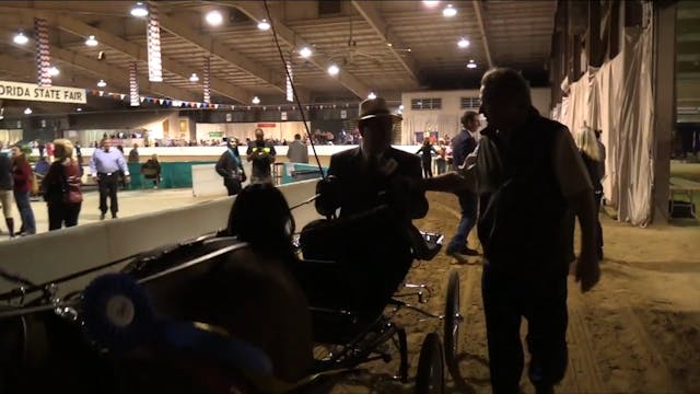 GASP17 - Senator - Championship