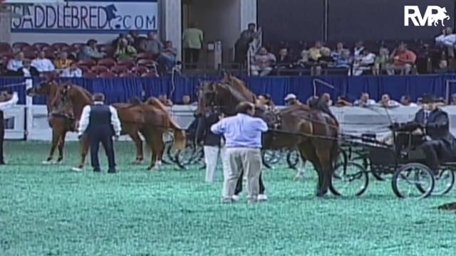 2009 World's Championship Horse Show ...