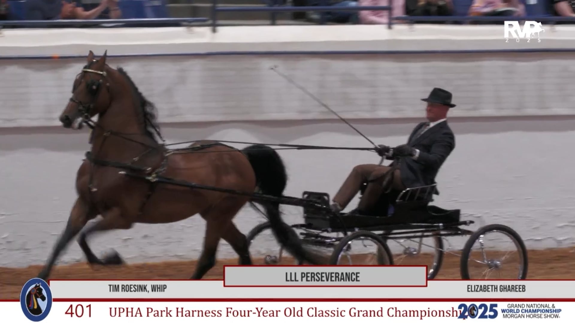 MGN25 - Class 401 - LLL Perserverance and Tim Roesink, Whip