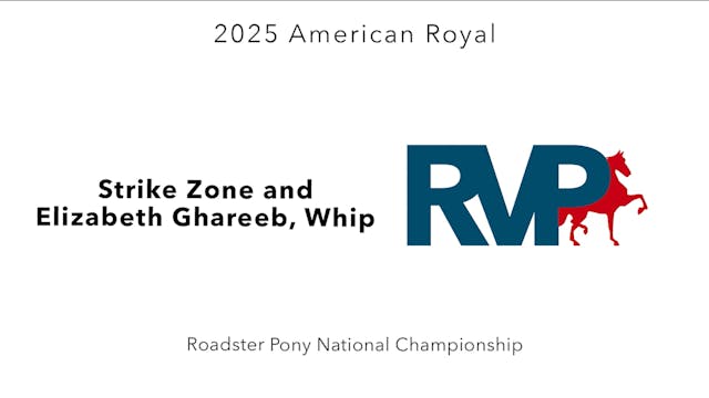 KC25 - Class 189 - Strike Zone and El...